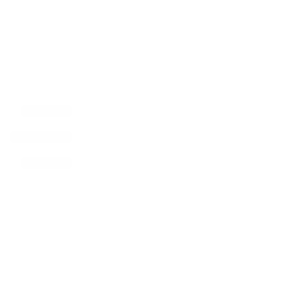 ambulance icon